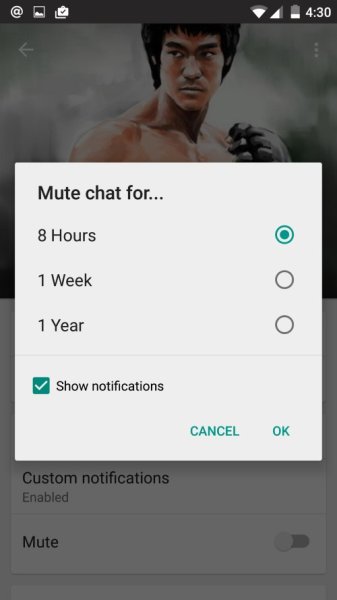 You-can-now-mute-conversations-from-individual-contacts