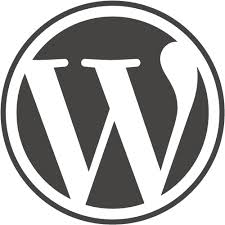 ซีอีโอ WordPress เป็นปลื้ม หลังยอดผู้ใช้งานพุ่ง