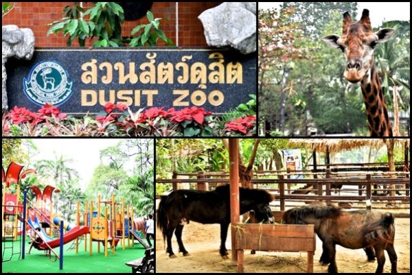 Dusit_Zoo5