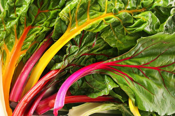 Swiss-Chard