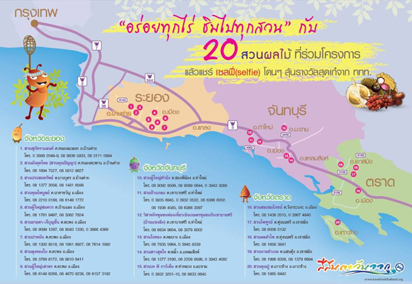 20 สวนผลไม้ อร่อยทุกไร่ ชิมไปทุกสวน ระยอง-จันทบุรี-ตราด