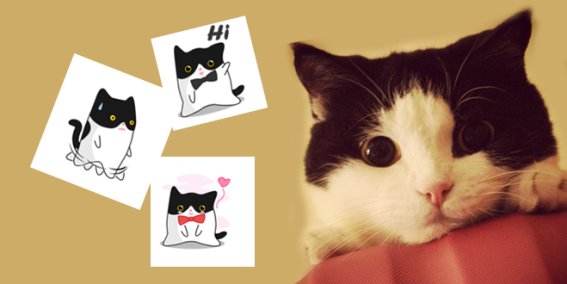 จากเซเลบเหมียวสู่ Sticker line “เส้าหลิน”