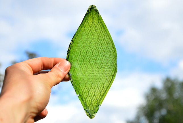 Silk Leaf โครงการผลิตใบไม้เทียมที่สามารถผลิตออกซิเจนได้
