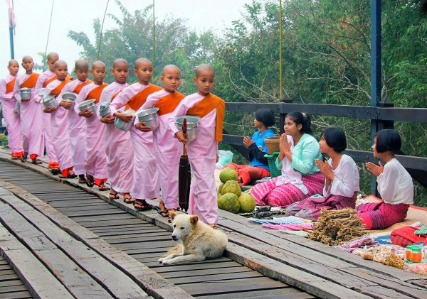 Bridge9