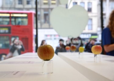 เกร๋..เกร๋..Real Apple Store กับคอนเซ็ปต์สุดแหวกแนววางขายแอปเปิ้ลจริง