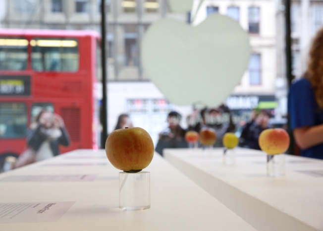 เกร๋..เกร๋..Real Apple Store กับคอนเซ็ปต์สุดแหวกแนววางขายแอปเปิ้ลจริง