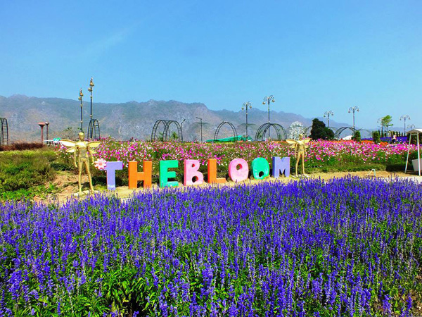 the-bloom4