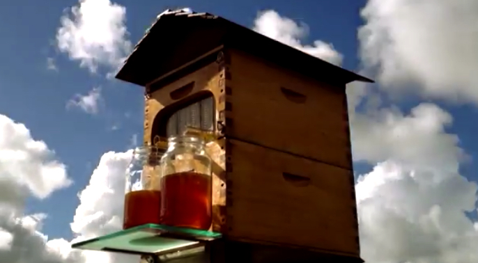 “Flow Hive” บ้านรังผึ้งสุดยอดไอเดีย ที่สามารถเก็บน้ำผึ้งได้โดยไม่ต้องกลัวผึ้งอีกต่อไป