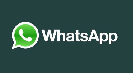 โตวันโตคืน! WhatsApp มีจำนวนผู้ใช้งานประจำรายเดือนที่ 800 ล้านคนแล้ว
