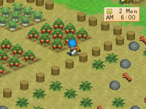 harvest-moon-ps1-screen-2