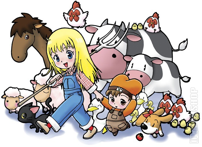 Harvest Moon Ds Cute Stocking 42