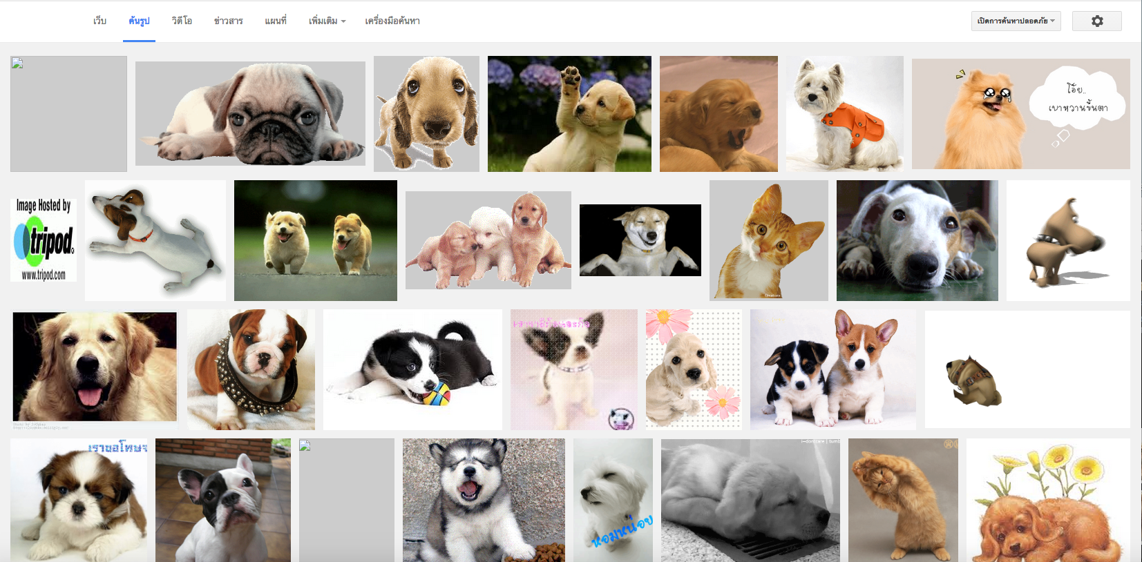 แค่มี “Google GIFs plugin” ตัวช่วยค้นหาไฟล์ GIFs รูปทุกรูปก็ขยับได้อัตโนมัติ!!