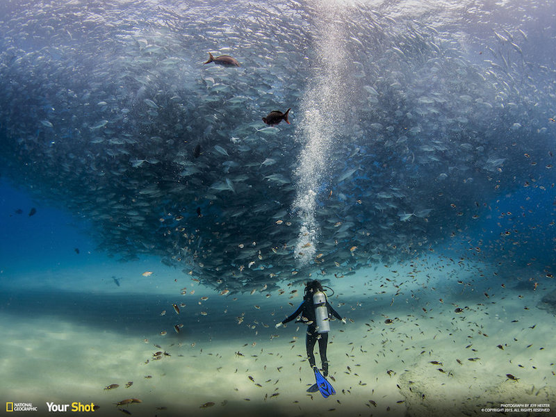 Cabo Pulmo, Baja, Mexico. Amazing example of what a Marine Protected Area can do. The fish biomass in this reserve has bounced back and the ecosystem is returning to a healthy state.