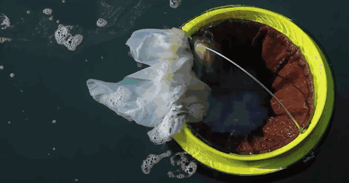 floating-rubbish-bin-ocean-cleaning-seabin-andrew-turton-pete-ceglinski-australia-gif-10
