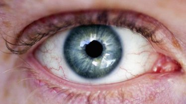 “ดวงตาชีวภาพ” ช่วยให้คนตาบอดมองเห็นได้