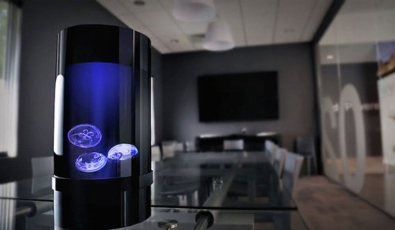 ธุรกิจใหม่ “โหลแมงกะพรุน LED”  สำหรับเลี้ยง “แมงกะพรุน” ไว้ที่บ้านโดยเฉพาะ