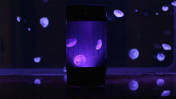 pet-jellyfish-art-led-aquarium-7