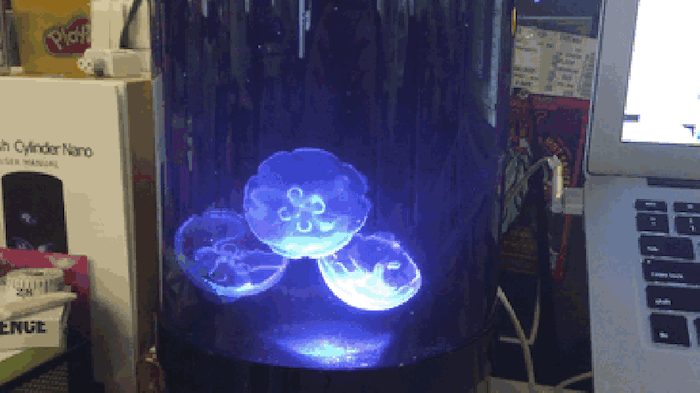 pet-jellyfish-art-led-aquarium-gif-1