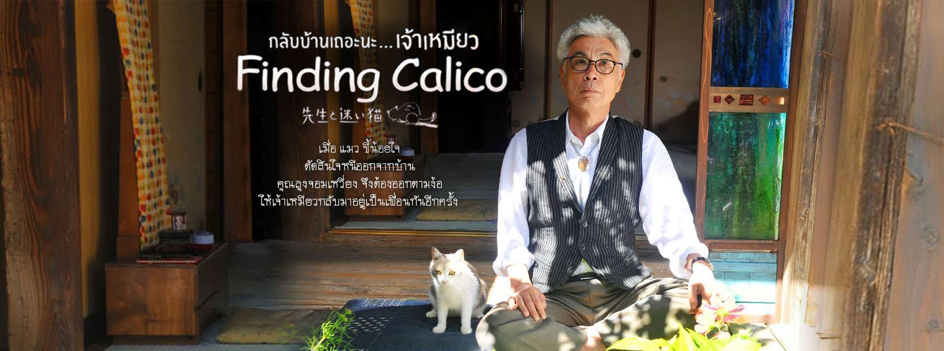 Finding Calico รีวิว กลับบ้านเถอะนะ…เจ้าเหมียว