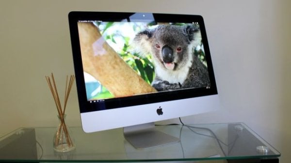 4k-imac-koala-side-650-80