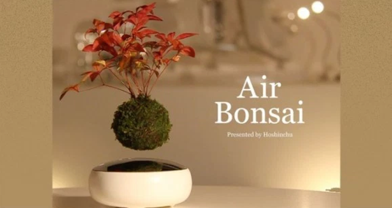 สุดล้ำ! “Air Bonsai” ต้นไม้ลอยได้  นวัตกรรมจาก “บริษัทสัญชาติญี่ปุ่น!”