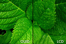 oled-vs-lcd