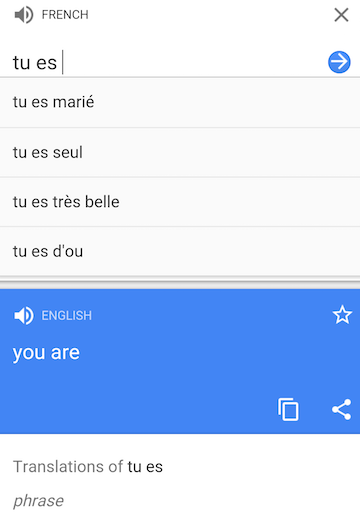 translate-autocomplete-mobile