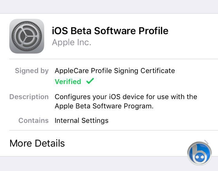 ios-beta-software-profile cer