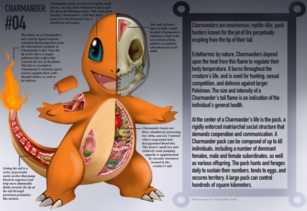 pokemon-anatomy-pokenatomy-christopher-stoll-raw-2
