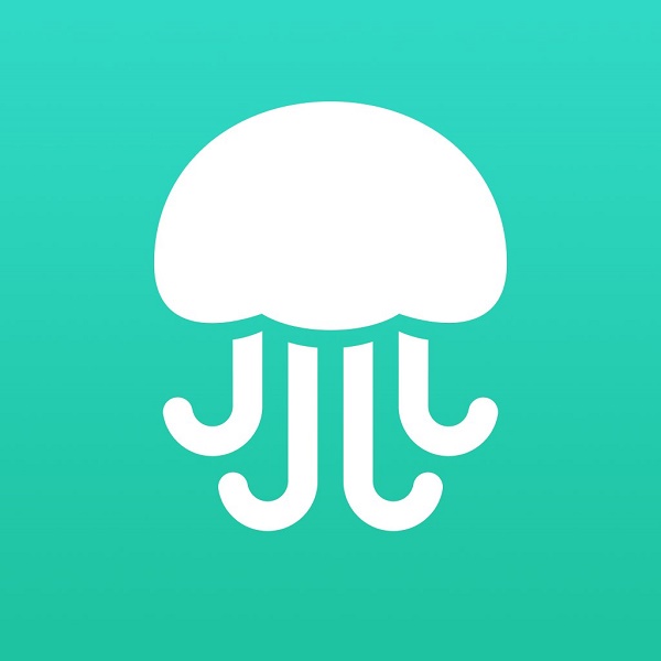 sure-the-logo-for-twitter-cofounder-biz-stones-qa-app-jelly-looks-like-a-jellyfish-but-its-also-a-brain