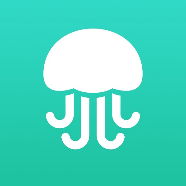 sure-the-logo-for-twitter-cofounder-biz-stones-qa-app-jelly-looks-like-a-jellyfish-but-its-also-a-brain