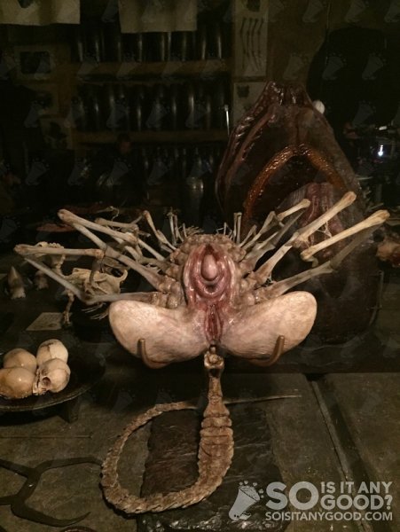 alien-covenant-face-hugger