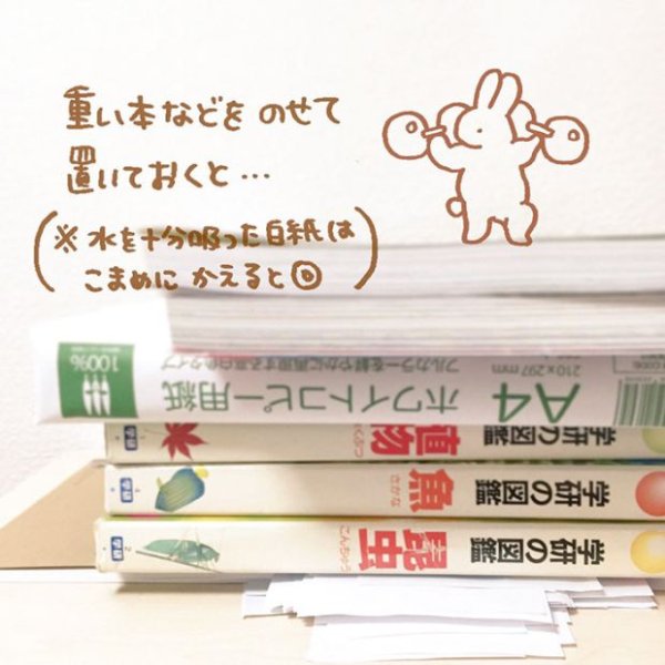 how-to-fix-wet-book-pages-with-a-simple-japanese-life-hack-3