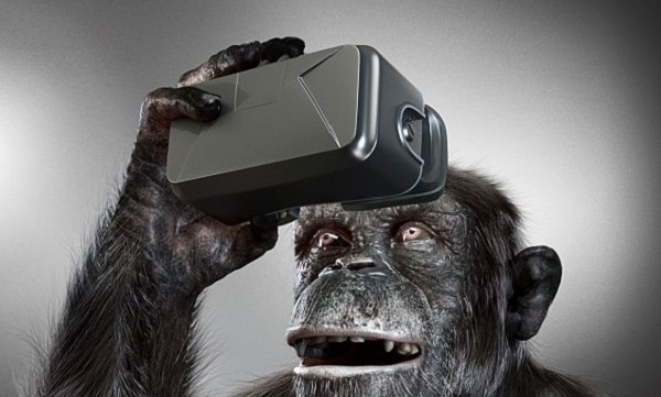 เมื่อ “ลิงชิมแปนซี” ต้องมาเจอกับเทคโนโลยี “VR” จะเป็นอย่างไร ?