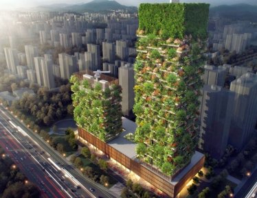 จีนเตรียมสร้าง “ป่าคอนกรีต” ของจริง! หวังให้เป็นแหล่ง “อ็อกซิเจน” แห่งใหม่ใจกลางเมือง