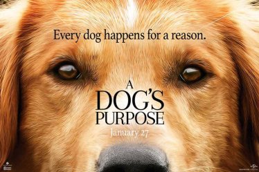 A Dog’s Purpose เข้าใจโลกผ่านสายตาหมา