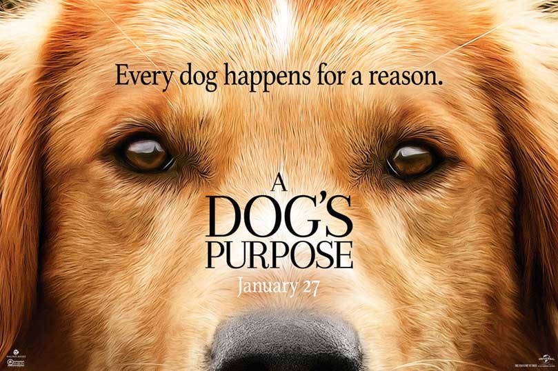 A Dog’s Purpose เข้าใจโลกผ่านสายตาหมา