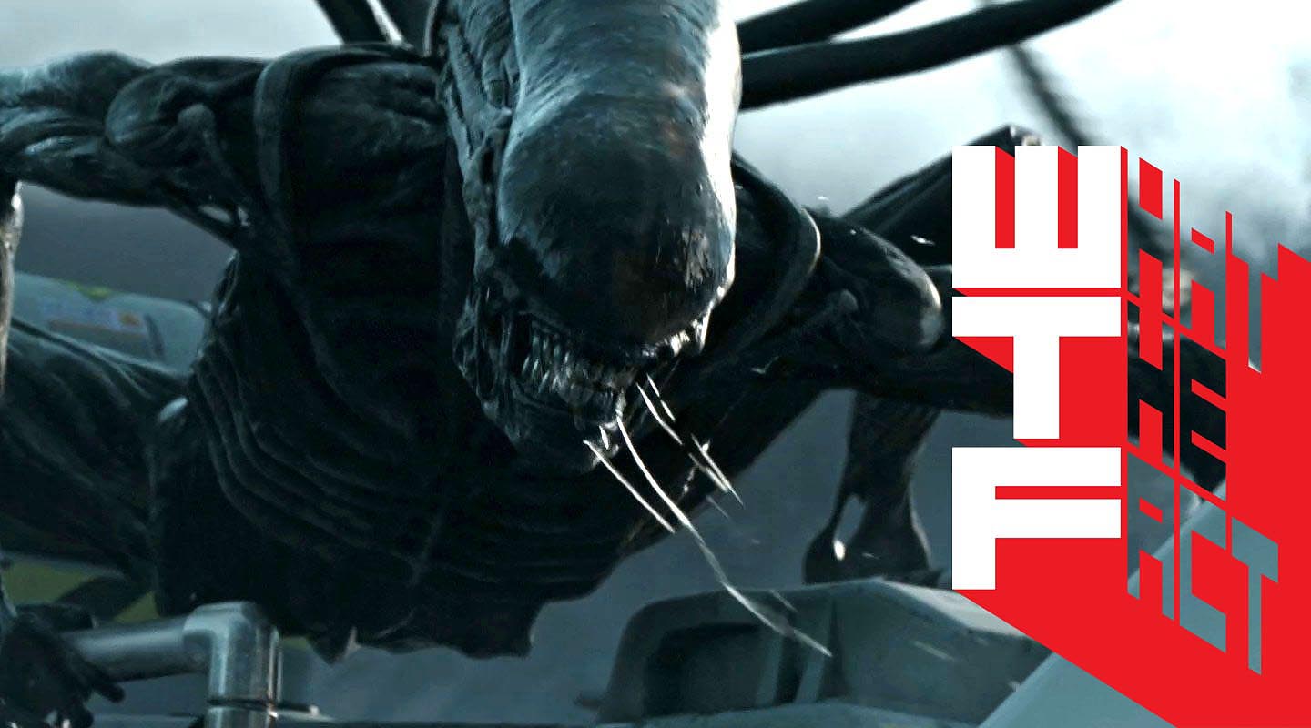 Alien: Covenant : กลับสู่โหมดแห่งการไล่ล่า