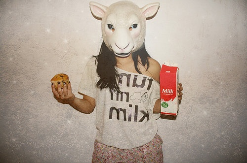 แต่งรูปชิคๆ Hipster สุดๆ ด้วยแอป “Animal Face”