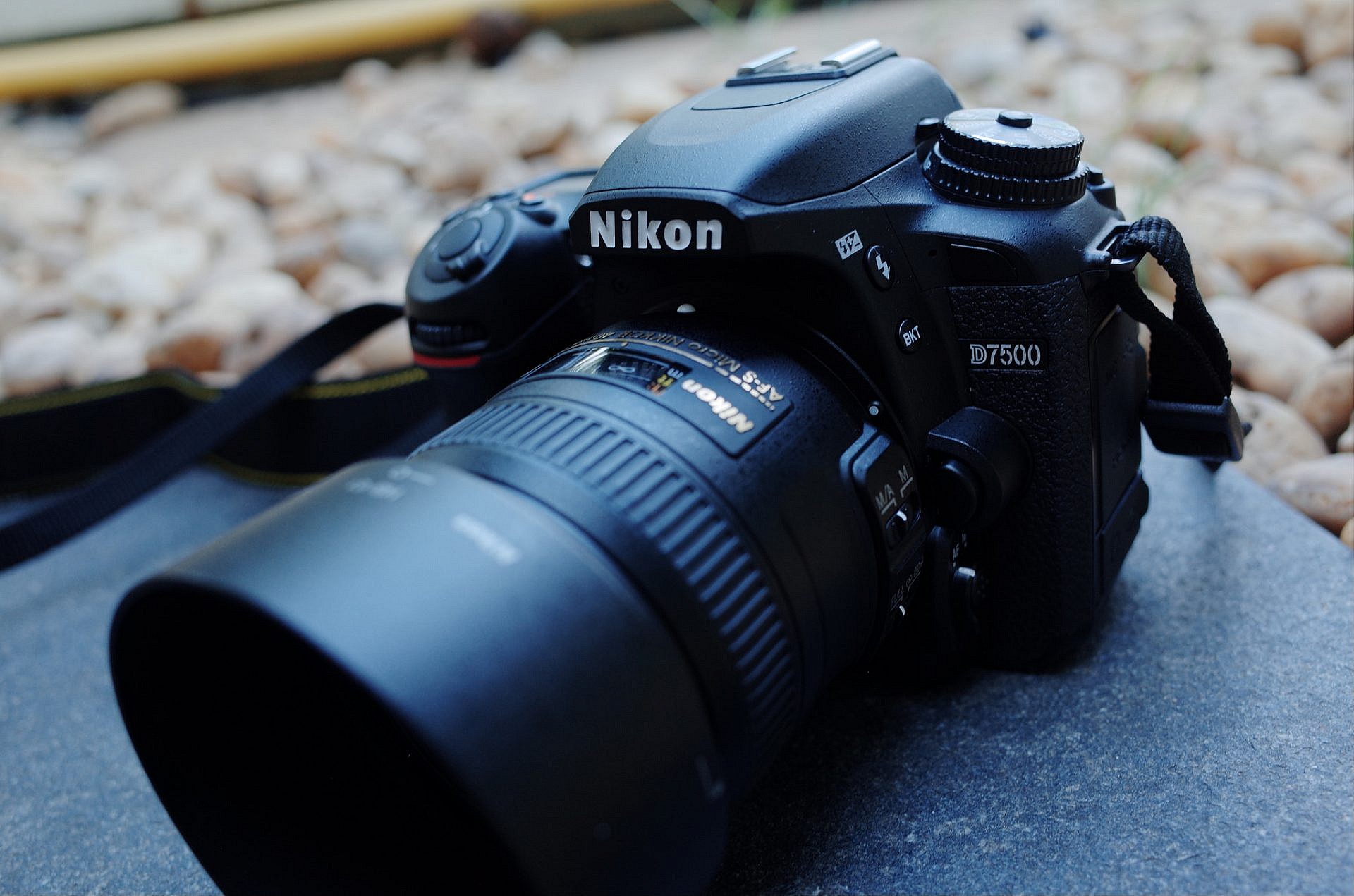 รีวิว Nikon D7500 กล้อง DSLR รุ่นกลางที่ถอดวิญญาณรุ่นพี่มาใส่