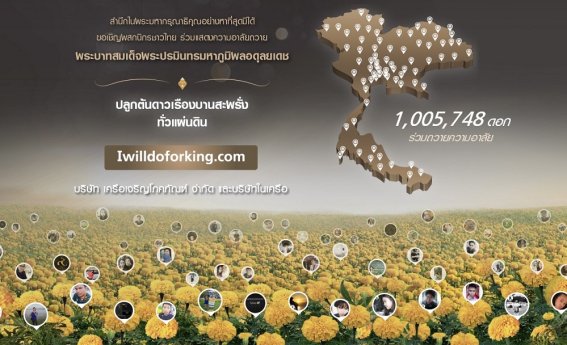 เครือเจริญโภคภัณฑ์ และ ทรู คอร์ปอเรชั่น ร่วมปลูกต้นดาวเรืองให้เหลืองอร่ามบานสะพรั่งทั้งแผ่นดิน