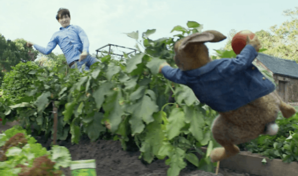 peter rabbit 2018 ไทย full