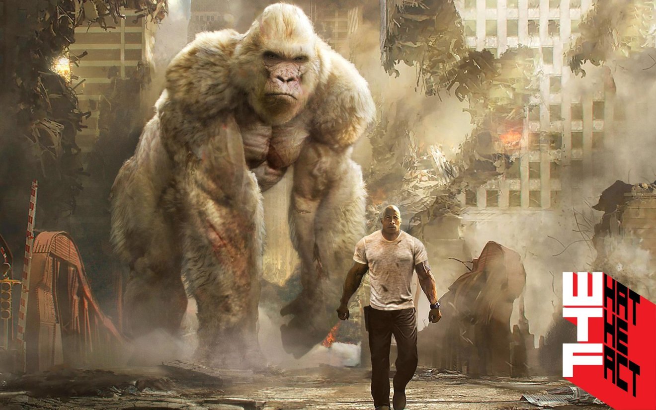 [รีวิว] Rampage : ขายความบันเทิงล้วน ๆ ครับ