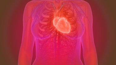 นักวิจัยชี้! ผู้หญิงถูกกระตุ้นให้เป็นโรคหัวใจได้มากกว่าผู้ชาย! สูบบุหรี่ก็จะป่วยง่ายกว่าชาย