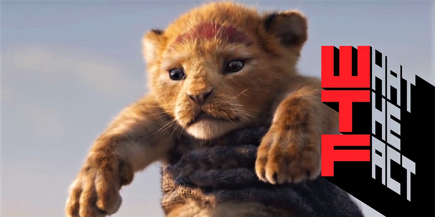 มาแล้ว! ตัวอย่างแรก The Lion King เวอร์ชันไลฟ์แอคชัน : คุ้มค่าที่รอคอย