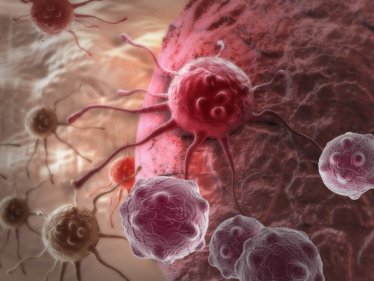 ไม่ต้องทำ Chemo ก็อาจรักษามะเร็งได้! นักวิทยาศาสตร์พบวิธีการรักษามะเร็งโดยใช้อาวุธลับที่อยู่ในเซลล์ของเราแล้ว!