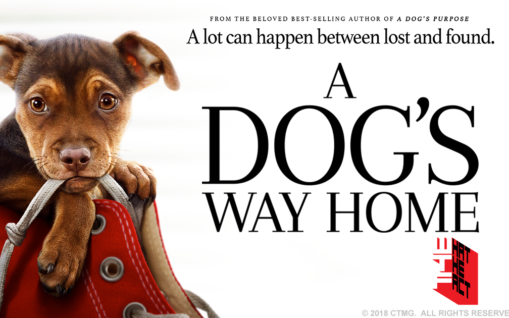 [รีวิว]a dog’s way home:ทั้งน่ารักและซาบซึ้ง