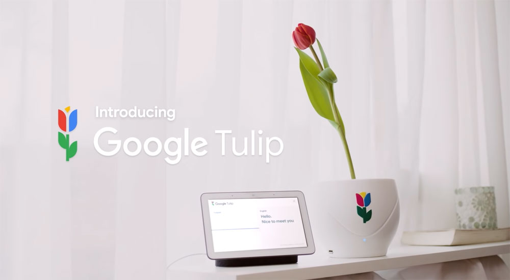 [April Fools] Google เปิดตัว “Google Tulips” IoT ที่ช่วยให้คุณคุยกับดอกไม้ได้