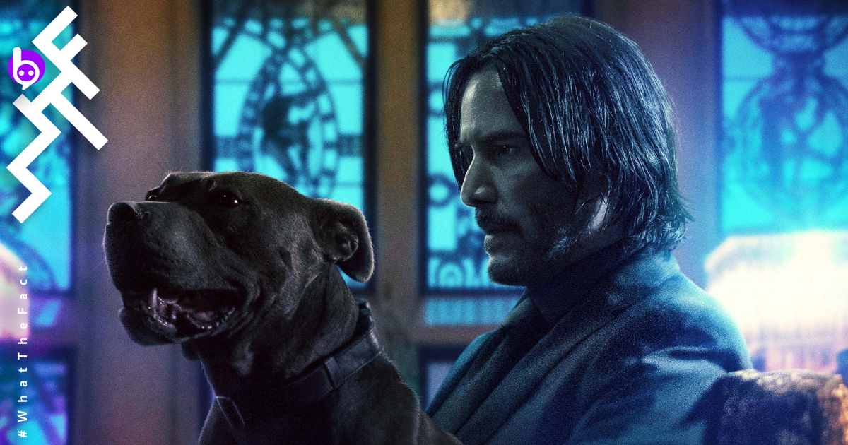 10 อันดับ Box Office (17-19 พ.ค.) : John Wick 3 เปิดตัว 149 ล้านเหรียญทั่วโลก, Avengers: Endgame “เกือบ” แซงรายได้ทั่วโลกของ Avatar แล้ว