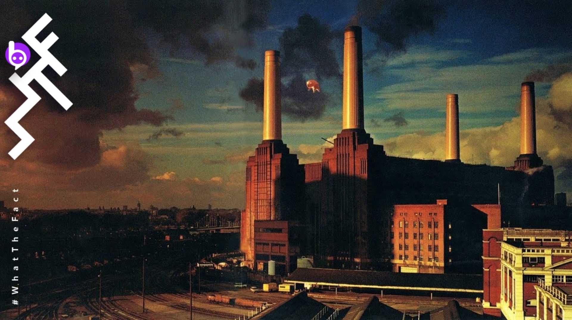 ลุงไม่แนะแต่เราแนะ !!! “Animals” จาก Pink Floyd คอนเซ็ปต์อัลบั้มที่ได้รับแรงบันดาลใจมาจาก “Animal Farm”